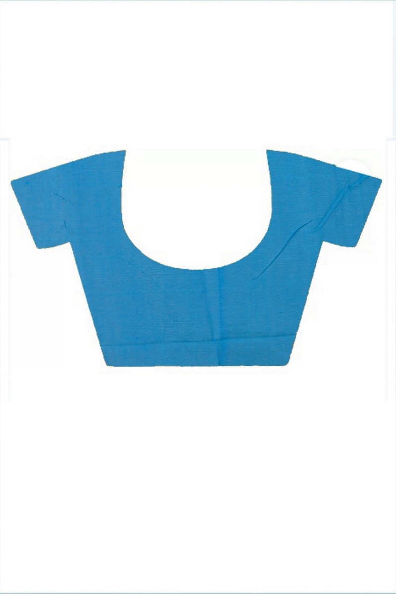 Sky Blue Pure Cotton Keshaka Hand Painted Saree (1989)